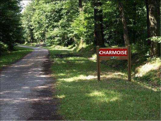 charmoise.jpg