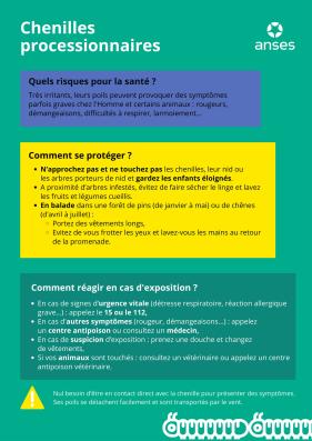 CHENILLES26ANSES.jpg CHENILLES26ANSES.jpg