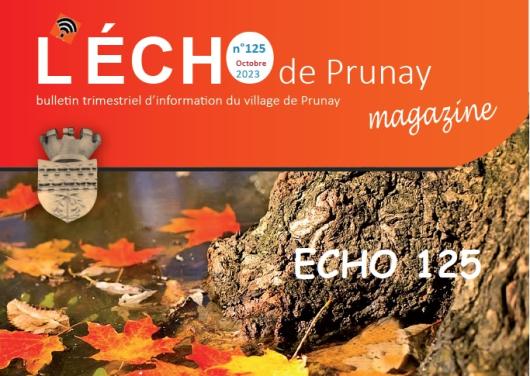 ECHO125.jpg