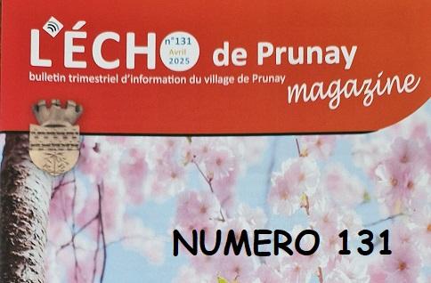 echo131.jpg