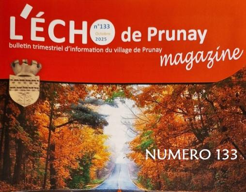 ECHO133illi.jpg