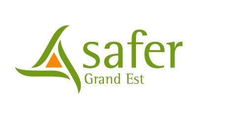LOGO-SAFER.jpg