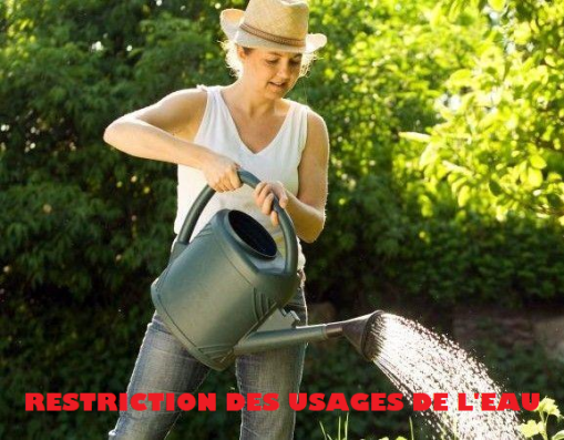 RESTRICTION26.png