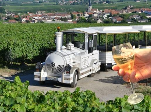 TRAIN25.jpg TRAIN25.jpg