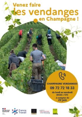 VENDANGES26.jpg